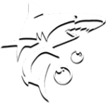 tembak-ikan.png
